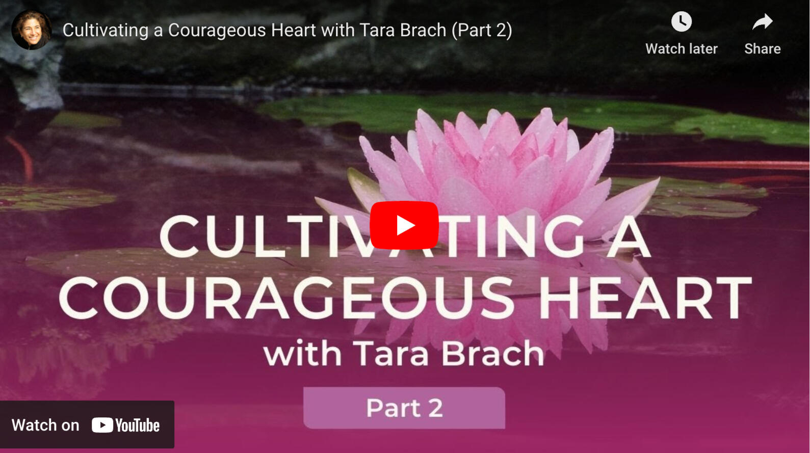 Cultivating a Courageous Heart: Part 2 - Tara Brach