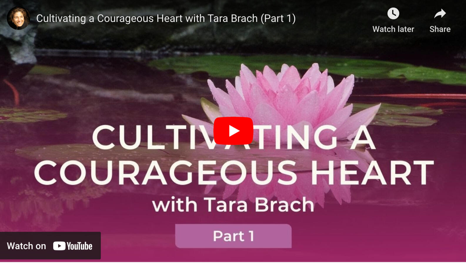 Cultivating a Courageous Heart: Part 1 - Tara Brach